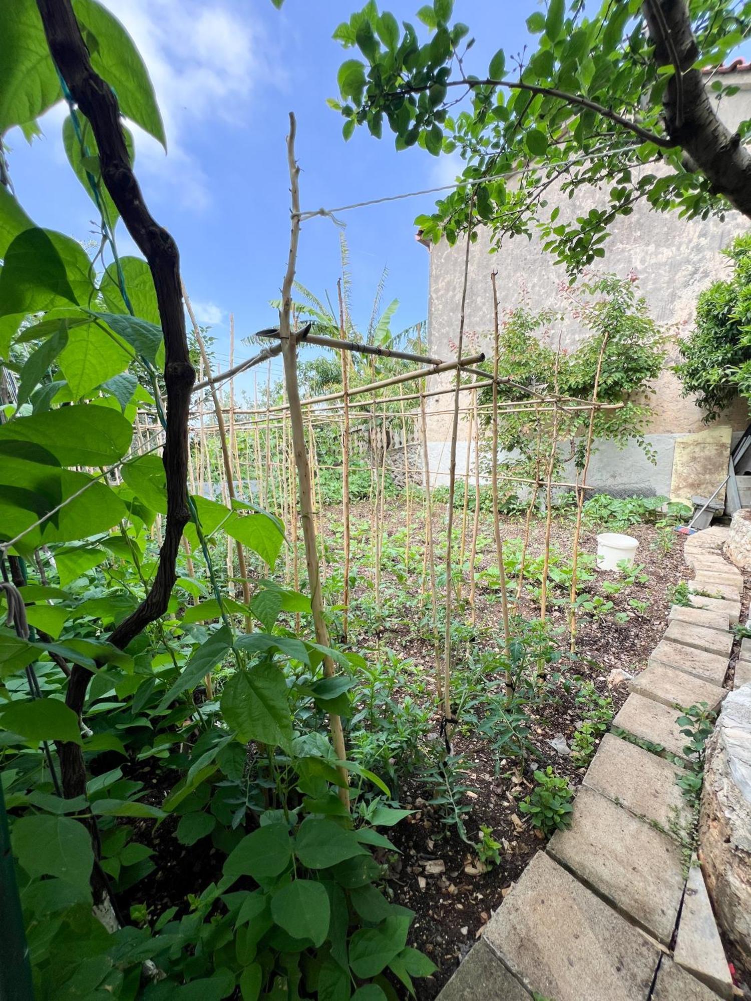 Petra Oliva Apartment Dhermi Luaran gambar