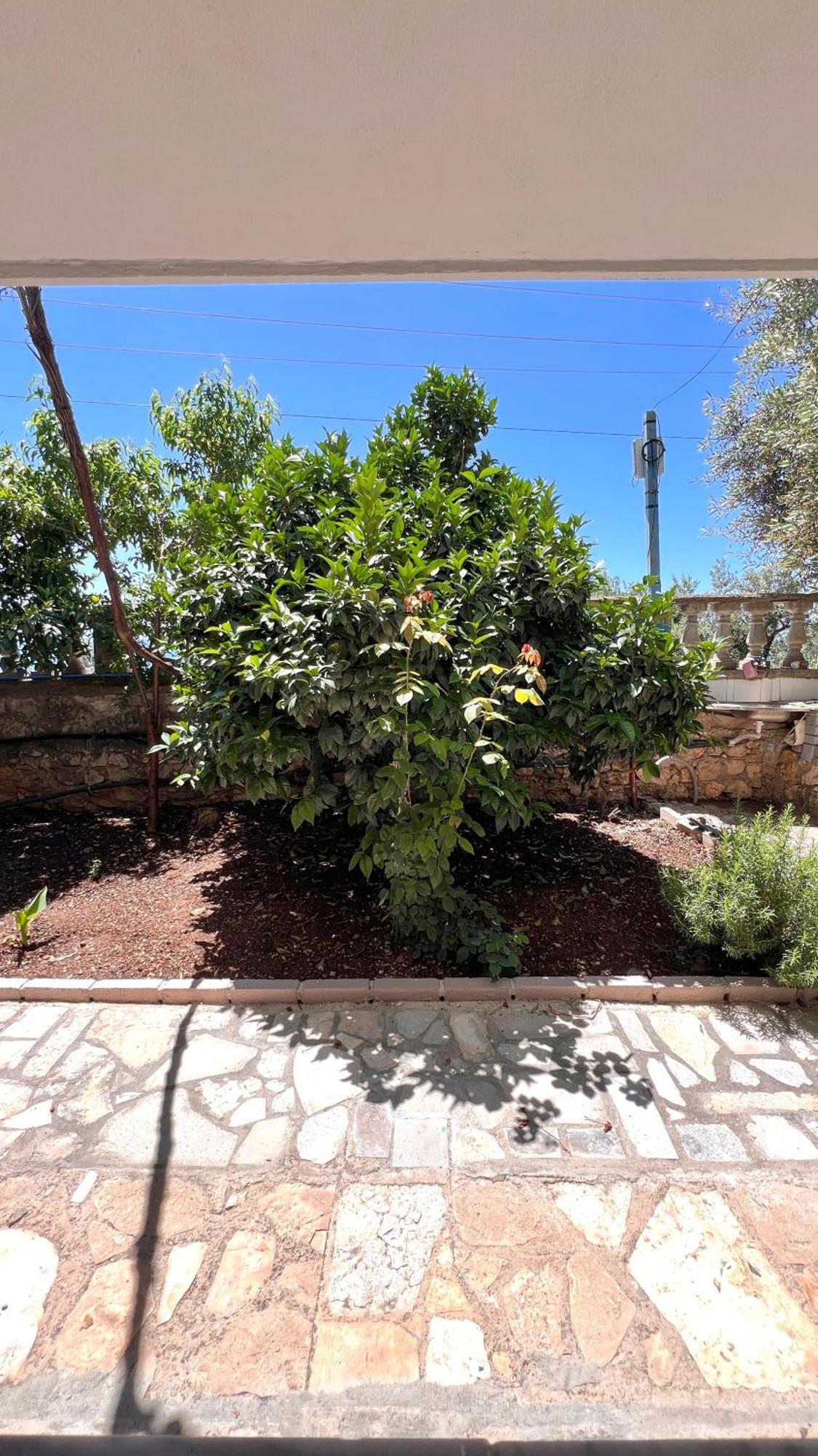 Petra Oliva Apartment Dhermi Luaran gambar